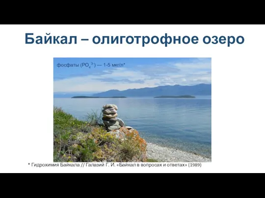 Байкал – олиготрофное озеро фосфаты (РО43-) — 1-5 мкг/л* * Гидрохимия