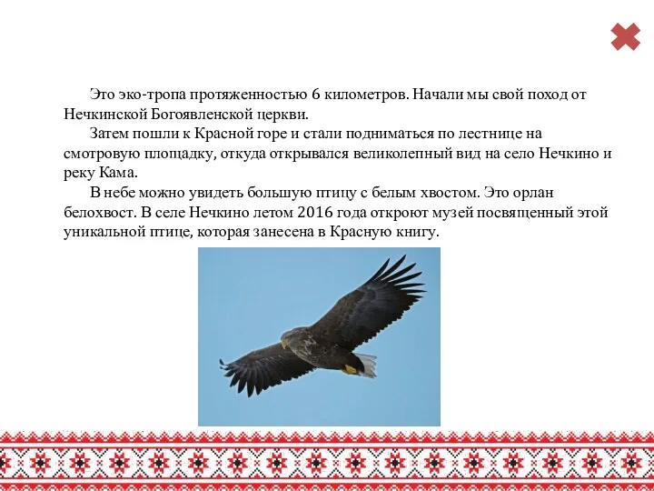 Это эко-тропа протяженностью 6 километров. Начали мы свой поход от Нечкинской