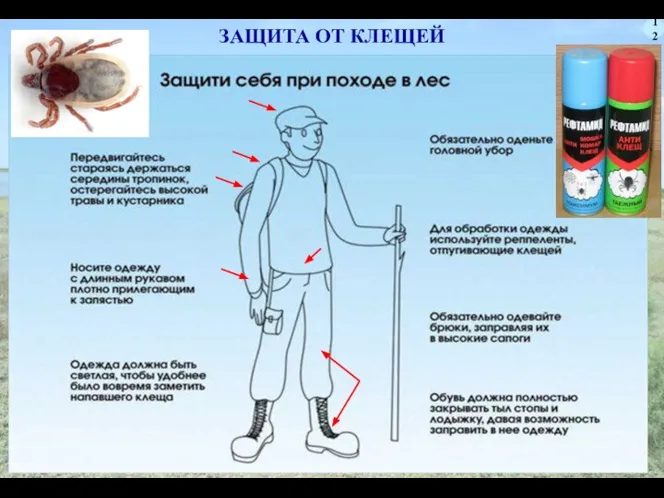 12 ЗАЩИТА ОТ КЛЕЩЕЙ