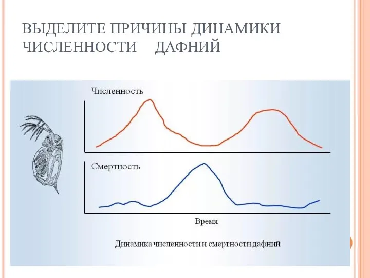 ВЫДЕЛИТЕ ПРИЧИНЫ ДИНАМИКИ ЧИСЛЕННОСТИ ДАФНИЙ