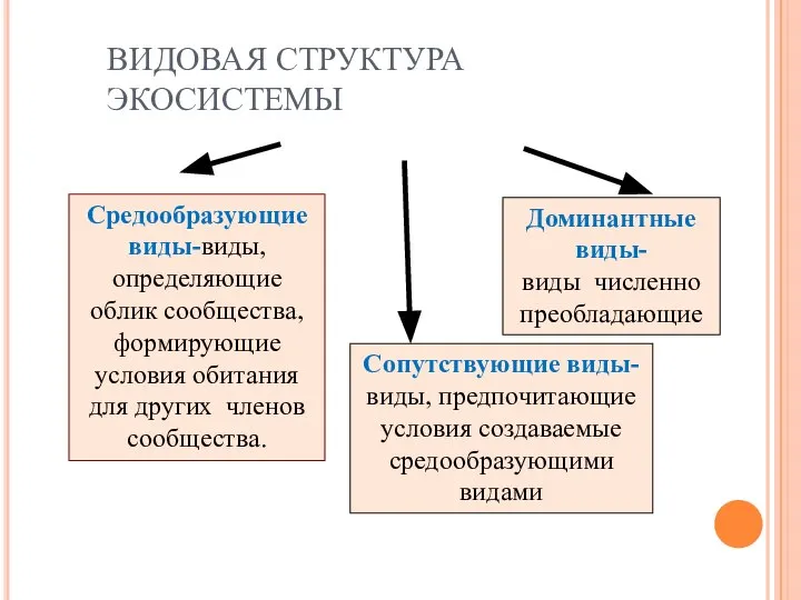 ВИДОВАЯ СТРУКТУРА ЭКОСИСТЕМЫ Средообразующие виды-виды,определяющие облик сообщества, формирующие условия обитания для