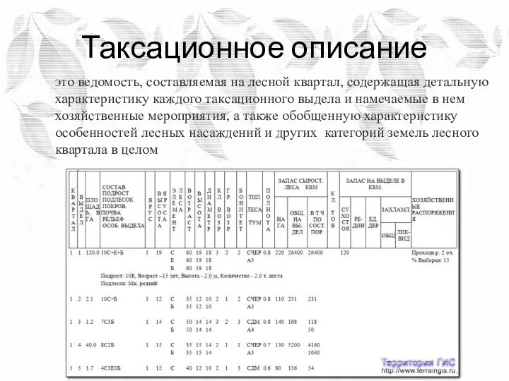 Таксационное описание это ведомость, составляемая на лесной квартал, содержащая детальную характеристику