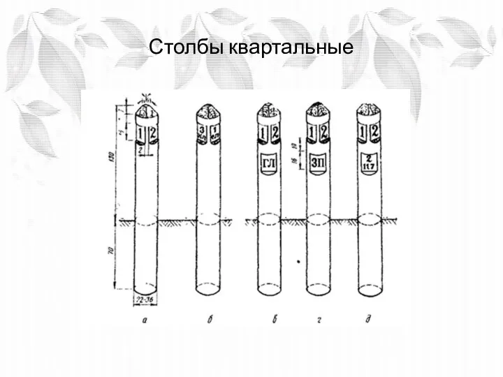 Столбы квартальные