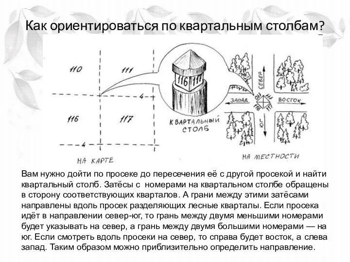 Как ориентироваться по квартальным столбам? Вам нужно дойти по просеке до