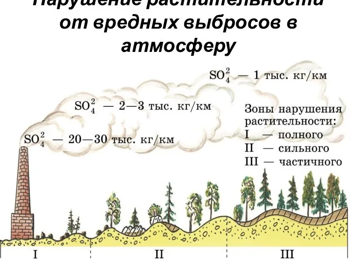 Нарушение растительности от вредных выбросов в атмосферу