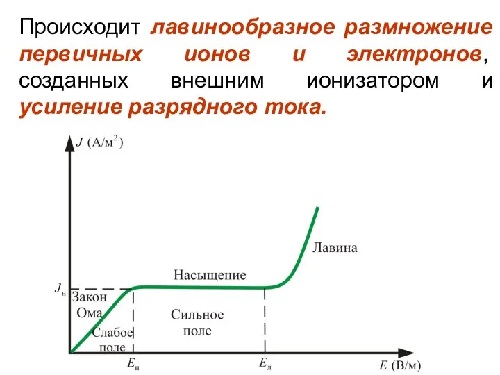 Происходит лавинообразное размножение первичных ионов и электронов, созданных внешним ионизатором и усиление разрядного тока.