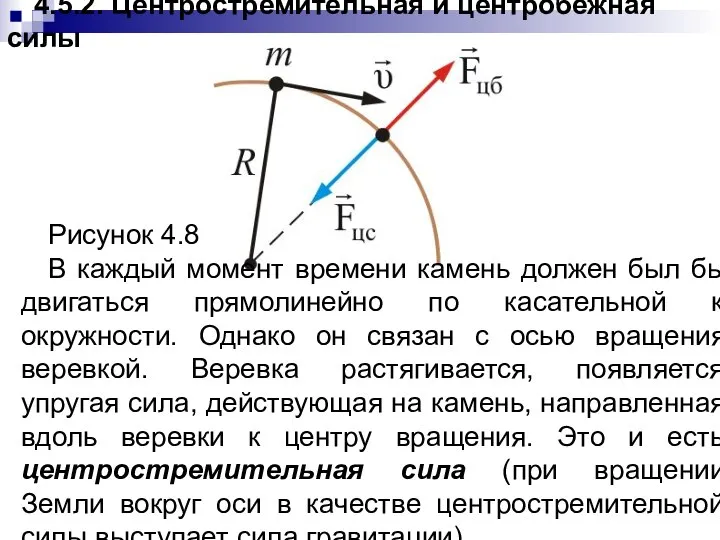 4.5.2. Центростремительная и центробежная силы Рисунок 4.8 В каждый момент времени
