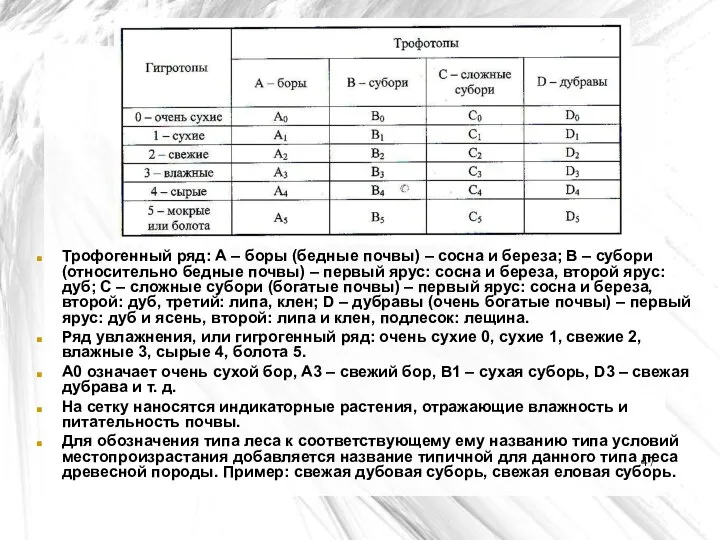 Трофогенный ряд: А – боры (бедные почвы) – сосна и береза;