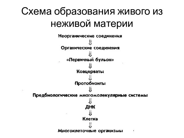 Схема образования живого из неживой материи