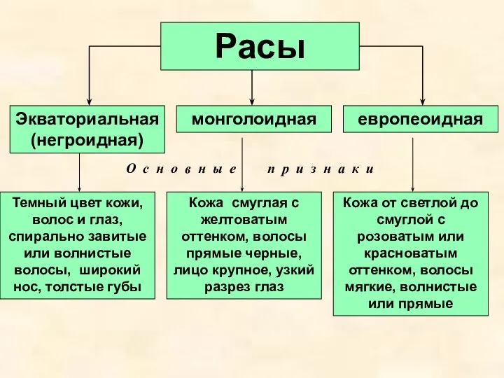 Расы