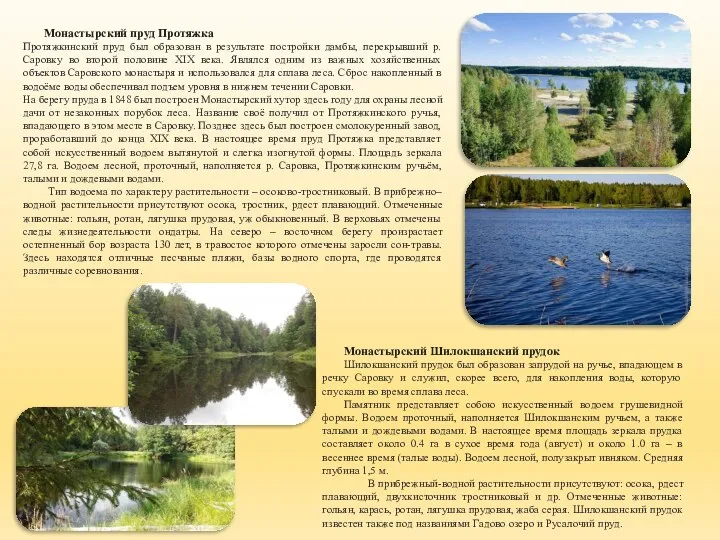 Монастырский пруд Протяжка Протяжкинский пруд был образован в результате постройки дамбы,