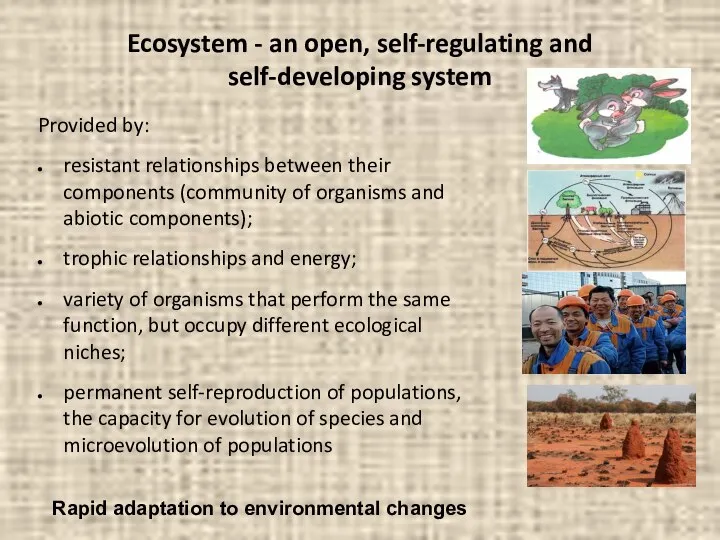Ecosystem - an open, self-regulating and self-developing system Provided by: resistant