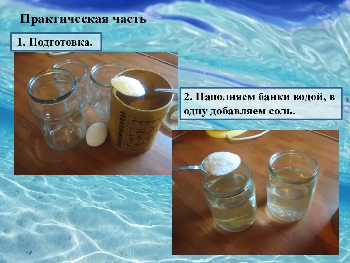 Практическая часть 1. Подготовка. 2. Наполняем банки водой, в одну добавляем соль.