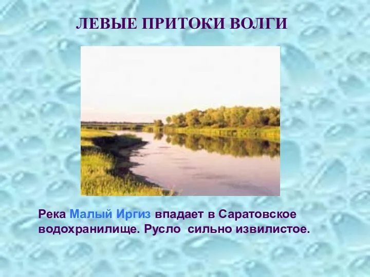 ЛЕВЫЕ ПРИТОКИ ВОЛГИ Река Малый Иргиз впадает в Саратовское водохранилище. Русло сильно извилистое.