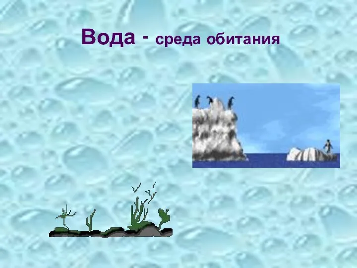 Вода - среда обитания