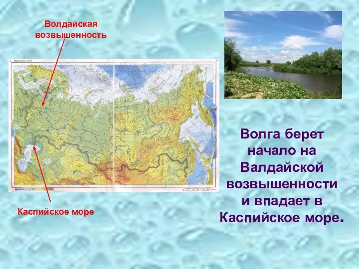 Волга берет начало на Валдайской возвышенности и впадает в Каспийское море. Волдайская возвышенность Каспийское море