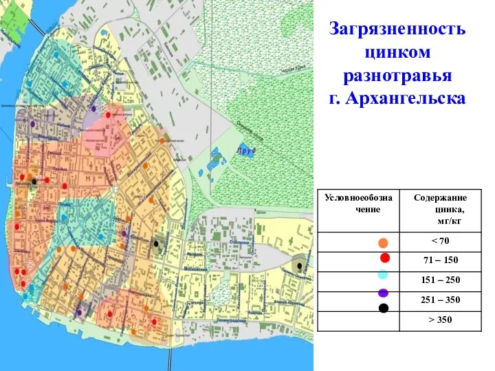 Загрязненность цинком разнотравья г. Архангельска