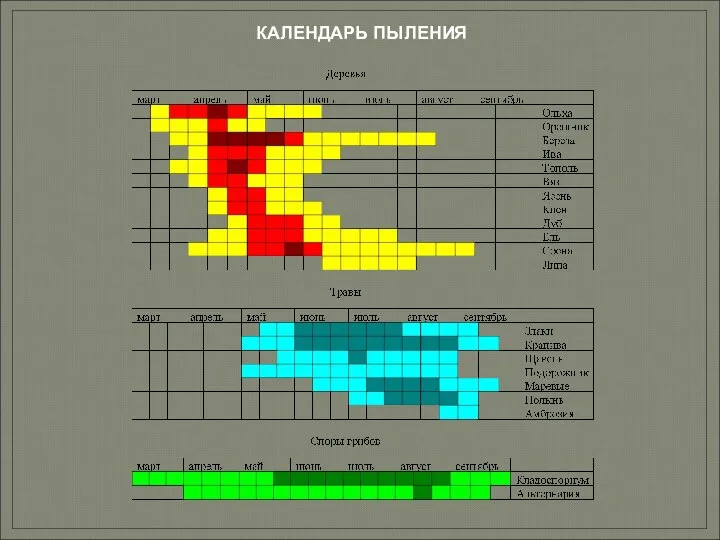 КАЛЕНДАРЬ ПЫЛЕНИЯ