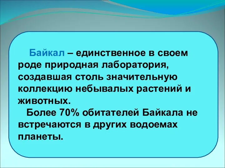 Байкал – единственное в своем роде природная лаборатория, создавшая столь значительную