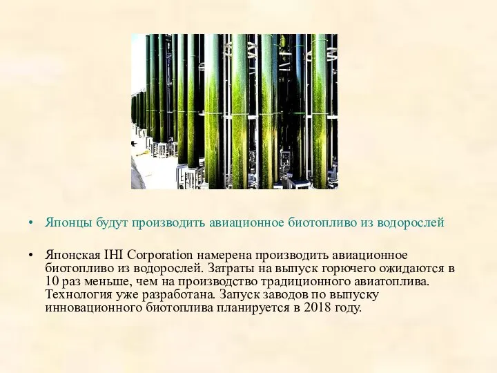 Японцы будут производить авиационное биотопливо из водорослей Японская IHI Corporation намерена