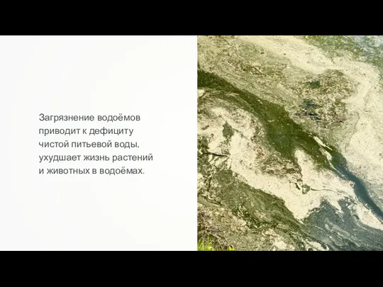 Загрязнение водоёмов приводит к дефициту чистой питьевой воды, ухудшает жизнь растений и животных в водоёмах.