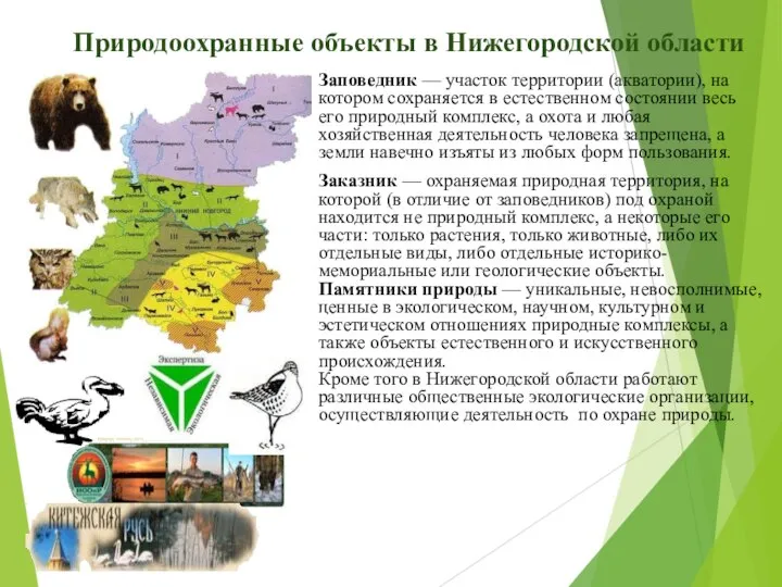 Природоохранные объекты в Нижегородской области Заповедник — участок территории (акватории), на