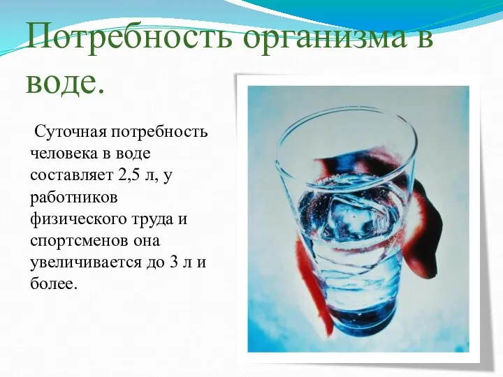 Потребность организма в воде. Суточная потребность человека в воде составляет 2,5