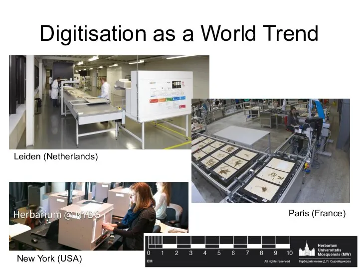 Digitisation as a World Trend Leiden (Netherlands) Paris (France) New York (USA)