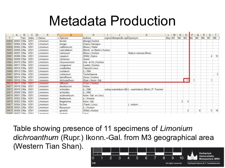 Metadata Production Table showing presence of 11 specimens of Limonium dichroanthum