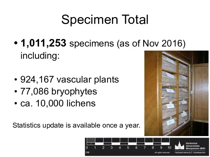 Specimen Total 1,011,253 specimens (as of Nov 2016) including: 924,167 vascular