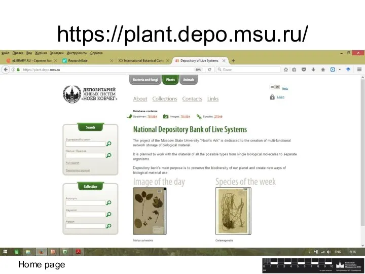 https://plant.depo.msu.ru/ Home page