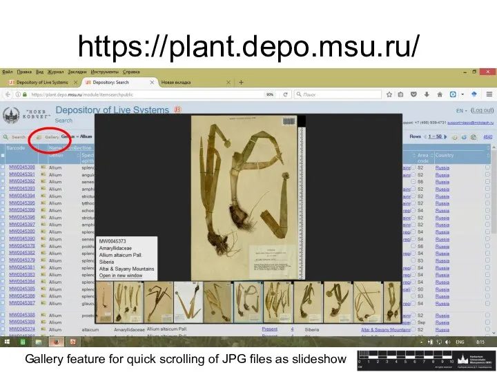 https://plant.depo.msu.ru/ Gallery feature for quick scrolling of JPG files as slideshow