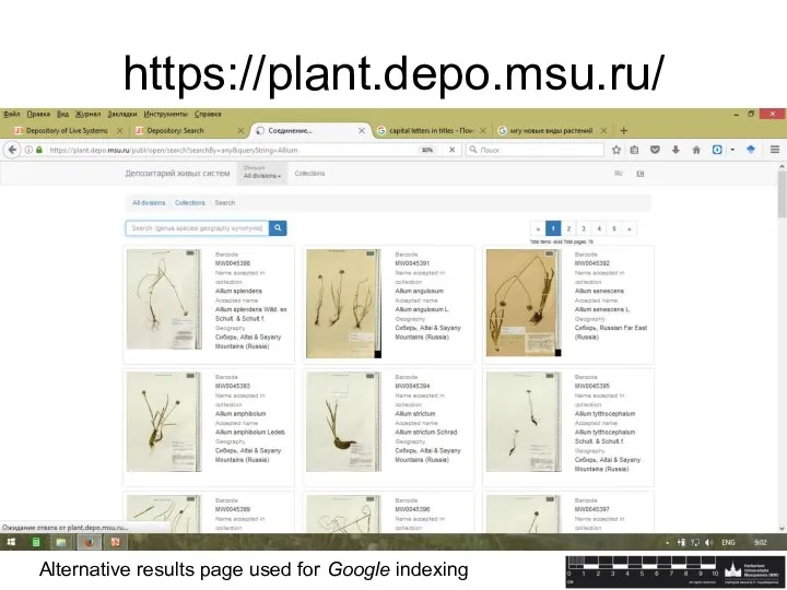 https://plant.depo.msu.ru/ Alternative results page used for Google indexing