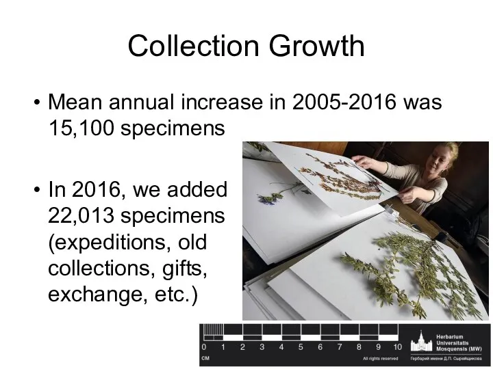 Collection Growth Mean annual increase in 2005-2016 was 15,100 specimens In