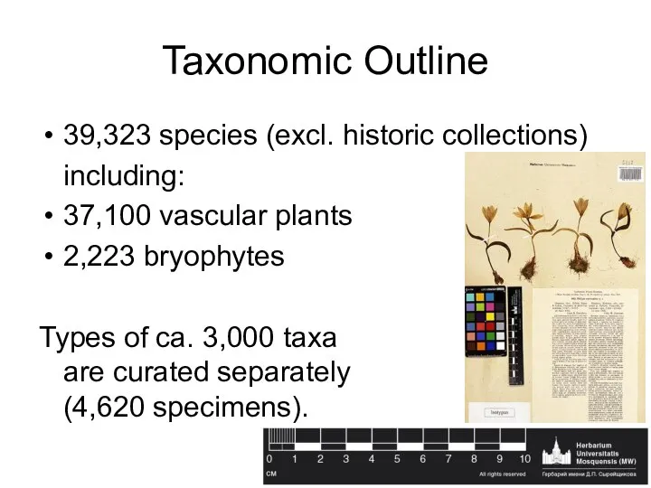 Taxonomic Outline 39,323 species (excl. historic collections) including: 37,100 vascular plants