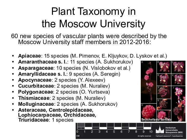 Plant Taxonomy in the Moscow University 60 new species of vascular