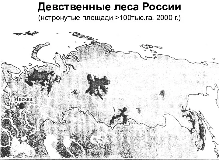 Девственные леса России (нетронутые площади >100тыс.га, 2000 г.)