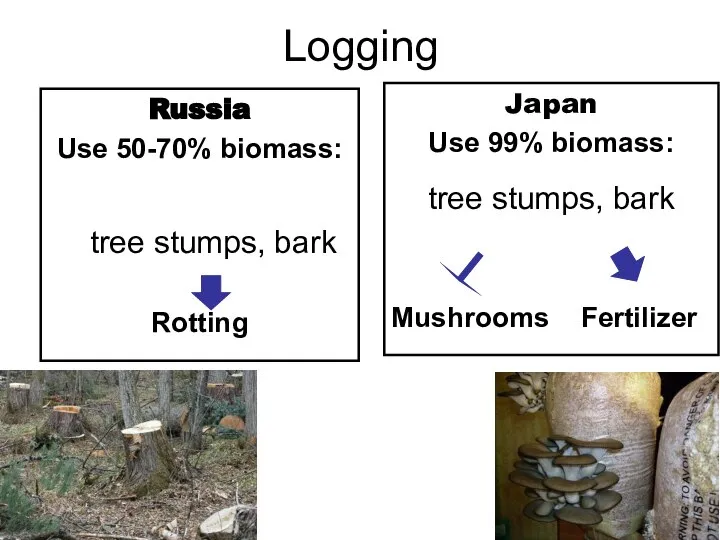 Logging Russia Use 50-70% biomass: tree stumps, bark Rotting Japan Use