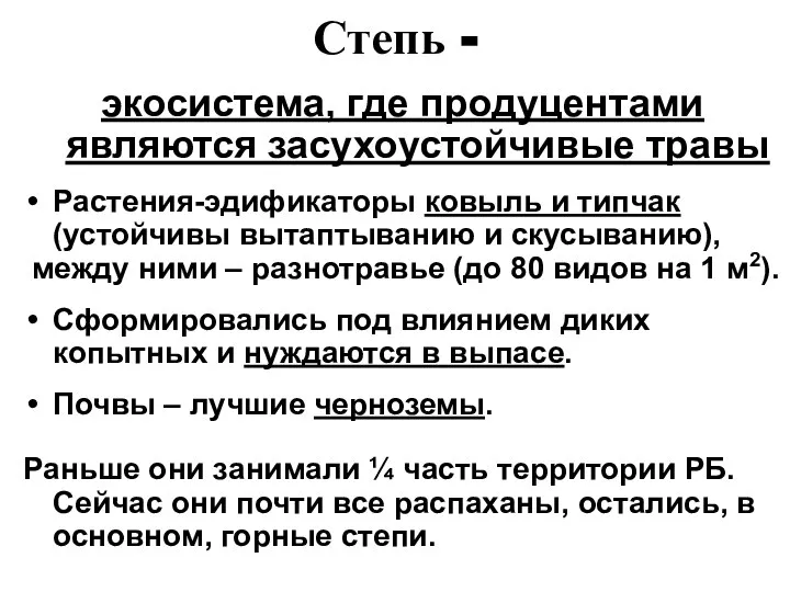 Степь - экосистема, где продуцентами являются засухоустойчивые травы Растения-эдификаторы ковыль и