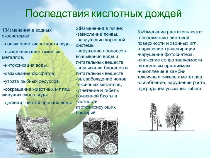 1)Изменения в водных экосистемах: -повышение кислотности воды, -выщелачивание тяжелых металлов, -интоксикация