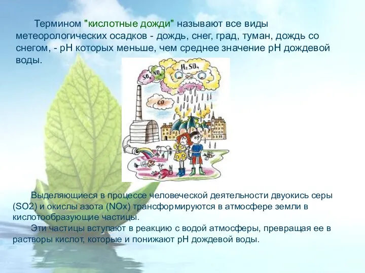 Термином "кислотные дожди" называют все виды метеорологических осадков - дождь, снег,