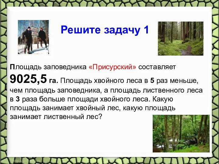 Решите задачу 1 Площадь заповедника «Присурский» составляет 9025,5 га. Площадь хвойного