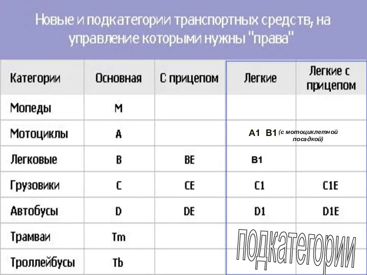 В1 подкатегории А1 В1 (с мотоциклетной посадкой)