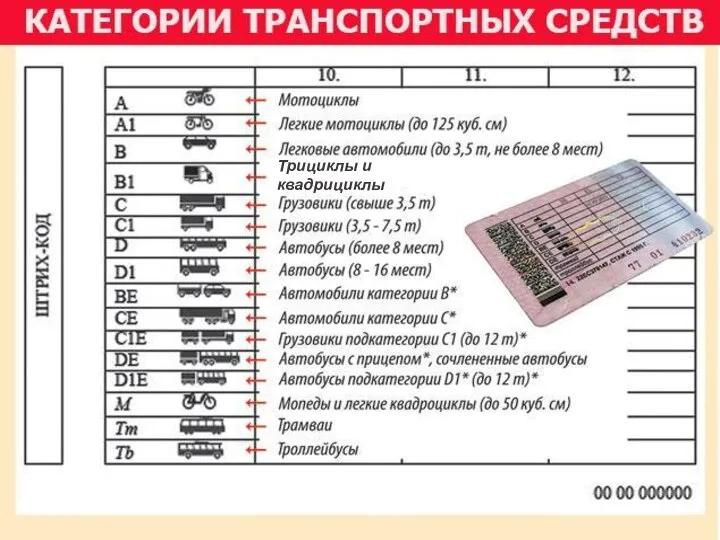 Категории ТС Категории ТС Категории ТС Трициклы и квадрициклы