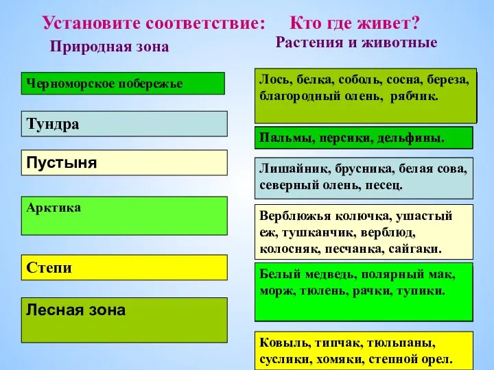 Лишайник, брусника, белая сова, северный олень, песец. Верблюжья колючка, ушастый еж,