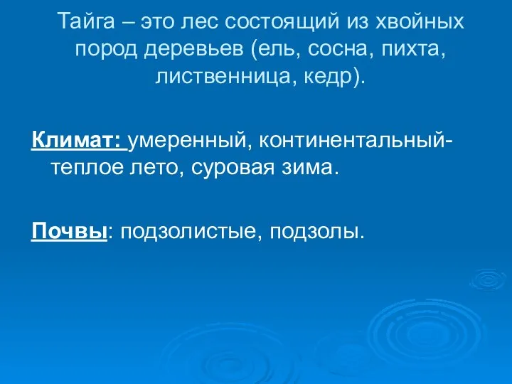 Тайга – это лес состоящий из хвойных пород деревьев (ель, сосна,