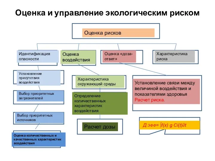 Оценка и управление экологическим риском Оценка рисков Идентификация опасности Оценка воздействия