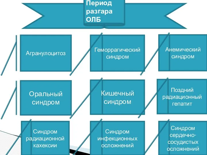 Период разгара ОЛБ Агранулоцитоз Геморрагический синдром Анемический синдром Оральный синдром Кишечный