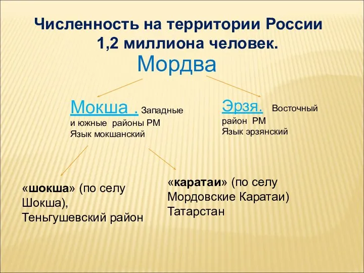 Численность на территории России 1,2 миллиона человек. Мордва Мокша . Западные