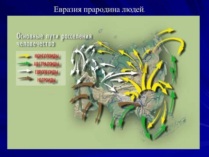 Евразия прародина людей.